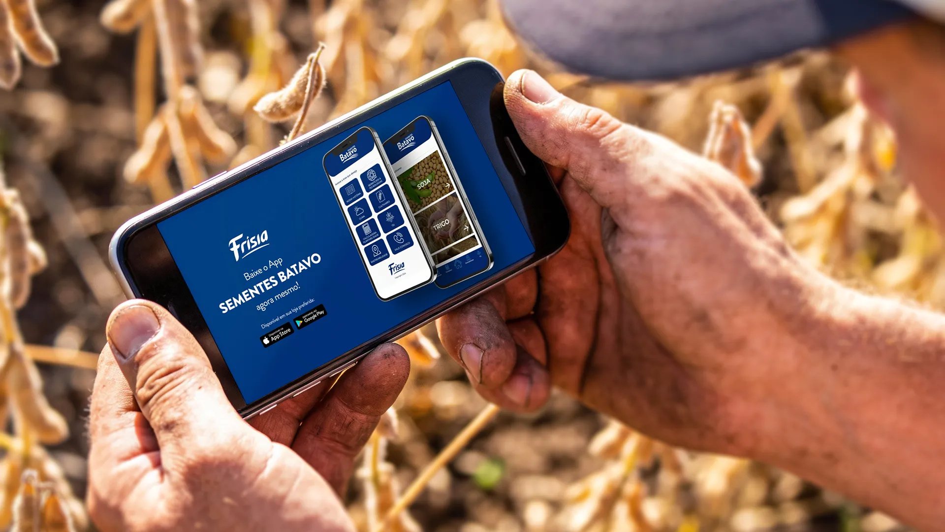 Motion design para apresentação do aplicativo Sementes Batavo - Direção por Bruno Rieger